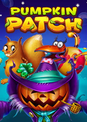 Pumpkin Patch